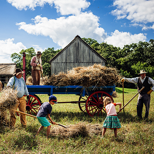 A group of people bail hay out of an old fashioned cart