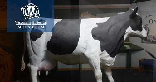 Wisconsin Historical Museum. A holstein cow statue, black and white patches looking right.