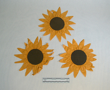 Suffrage Sunflower