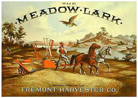 The Meadow Lark poster.
