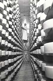 Stacking cheese in a cheese factory.