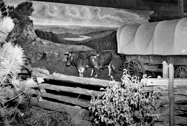Team of oxen, wagon and fence in front of a mural panel.