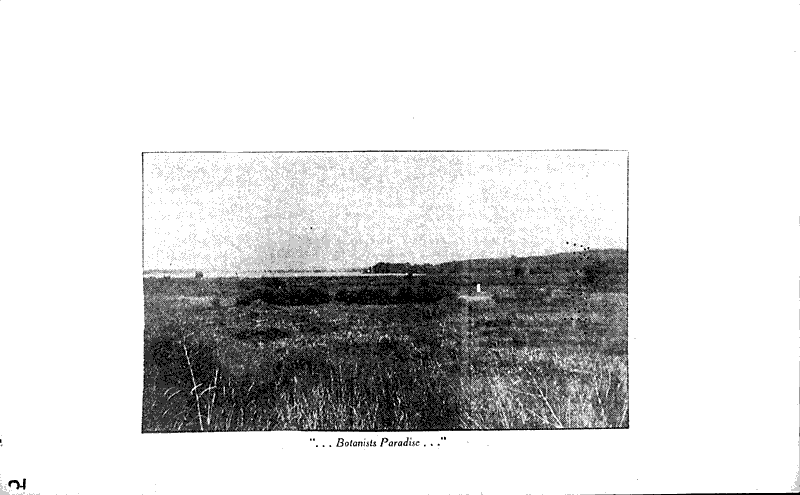  Source: Wisconsin State Journal Date: 1938-12-11