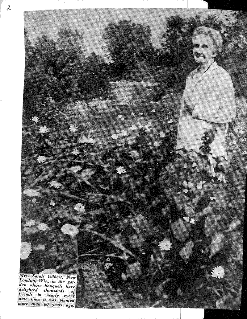 Garden links the present with pioneers Source: Milwaukee Journal Topics: Immigrants Date: 1927-12-04