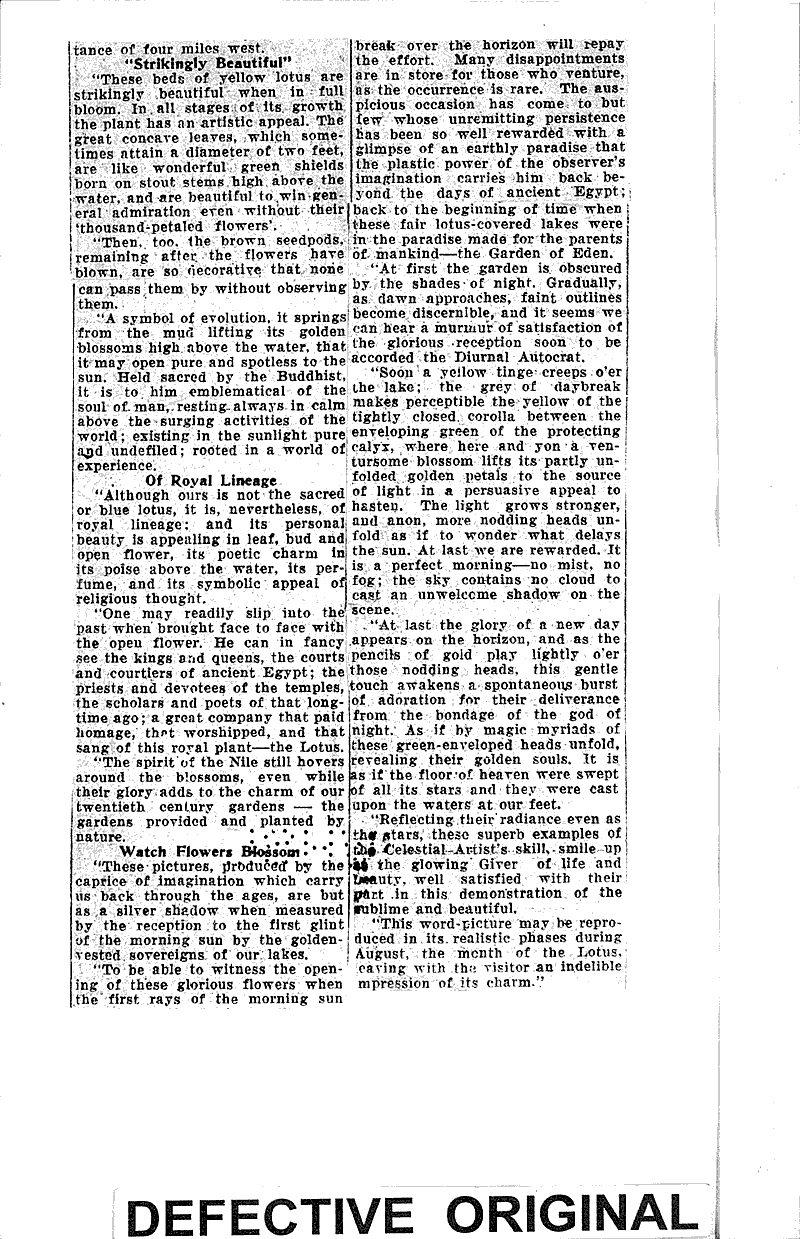 Famed Perrot Park lotus beds described by Trempealeau man Source: La Crosse Tribune and Leader-Press Date: 1934-08-19